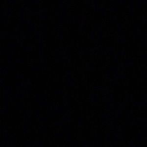 Meet your Posher, Griselda